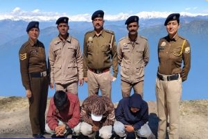Shimla Crime