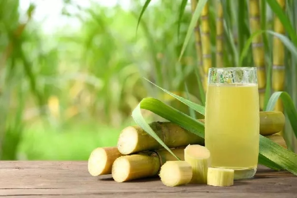 Sugarcane Juice Side Effects: इन लोगों के लिए गन्ने का जूस होगा हानिकारक, बस इन बातों का रखें ध्यान पढ़ें