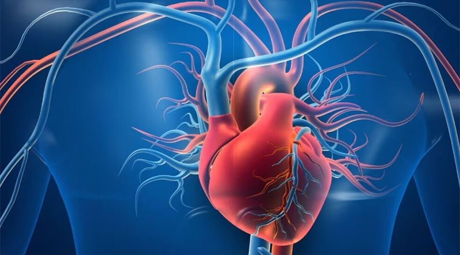 Heart Health Tips