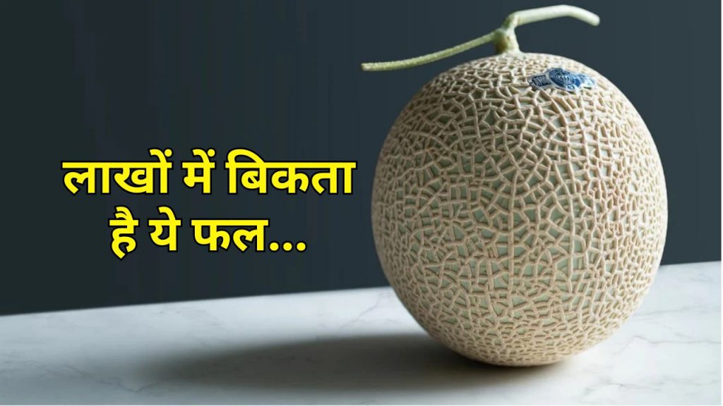 most expensive fruit