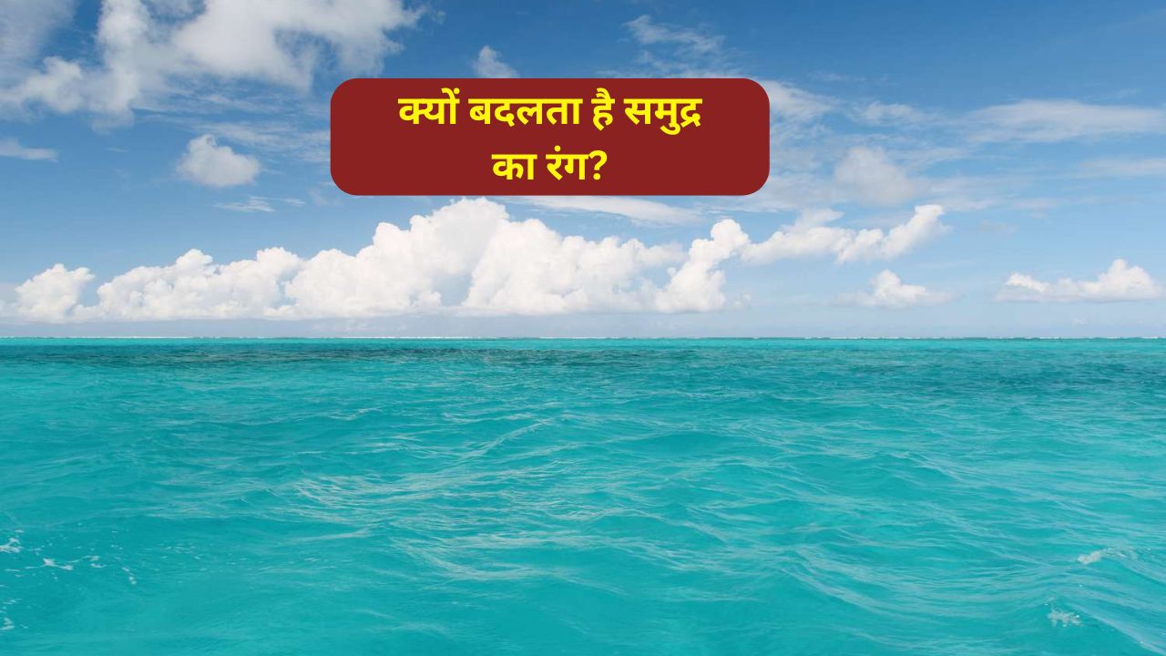 समुद्र नीला क्यों दिखता है? क्या सच में आसमान का रंग है इसकी वजह
