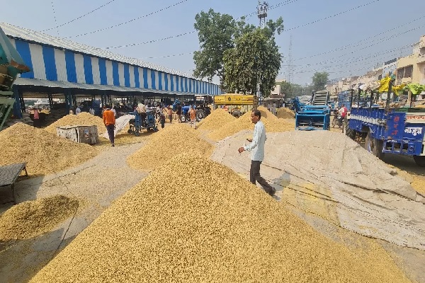 Haryana News : बड़ा फैसला : हरियाणा में अब 24 घंटे खुलेंगी मंडियां