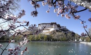 नेपाल अंतर्राष्ट्रीय फिल्म महोत्सव में चीन के शीत्सांग के बारे में विषयों पर आधारित छह फिल्मों का प्रदर्शन किया गया