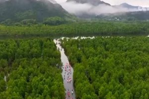 शी चिनफिंग ने एससीओ हरित और सतत् विकास मंच को बधाई पत्र भेजा