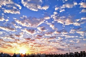 Haryana News : हरियाणा-एनसीआर में मौसम सुहावना, दिन में गर्मी, रातें ठंडी