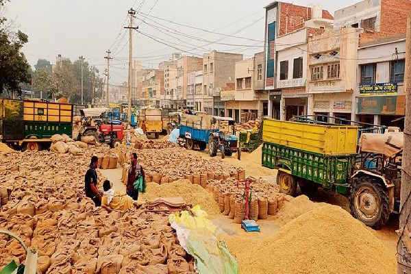 Haryana News : मंडी के नियम नहीं बदलने पर अंगूठा भेजने की चेतावनी