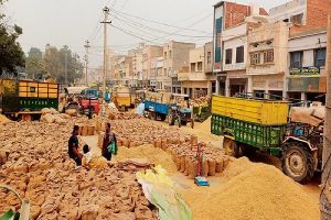 sirsa anaj mandi