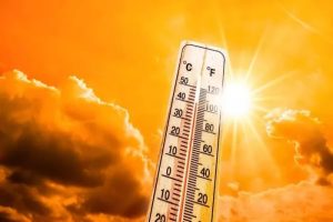 Haryana Weather Takes Turn