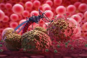 eradicating-malaria-is-about-public-participation
