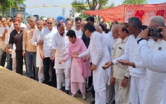 Haryana News : सैलजा ने जाना मंडियों का हाल, उठाए सवाल