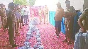 नशा तस्करों पर अंबाला रेंज पुलिस का बड़ा प्रहार; 31 क्विंटल अवैध मादक पदार्थों को किया नष्ट