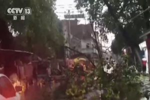 वांग यी ने उत्तर प्रदेश में तूफ़ान से हुई जनहानि पर भारतीय समकक्ष को संवेदना संदेश भेजा