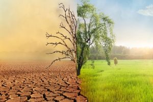 देश में ईवी कॉरिडोर का विस्तार : हरित और डिजिटल परिवहन की नई इबारत