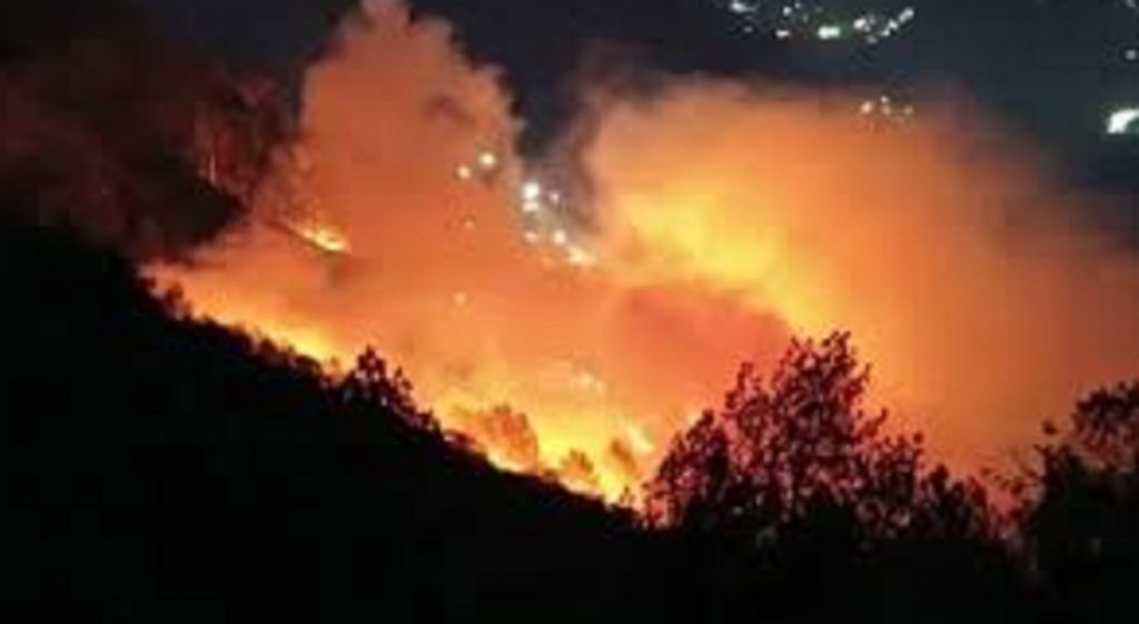 Krishnapur forest fire