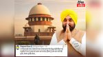 Punjab Government Action Against Stray Dogs