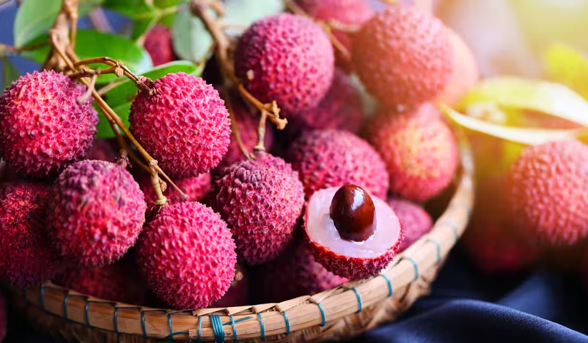 Litchi भी सेहत के लिए बन सकती है खतरा! जानिए सही मात्रा और खाने का सही समय