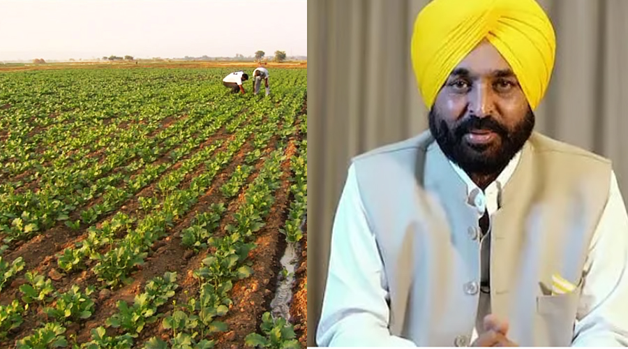 खेती को फिर से शुरू करने और गांव की आय बढ़ाने के लिए आर्टिफिशियल इंटेलिजेंस वाली खेती की तरफ बढ़ रहा पंजाब
