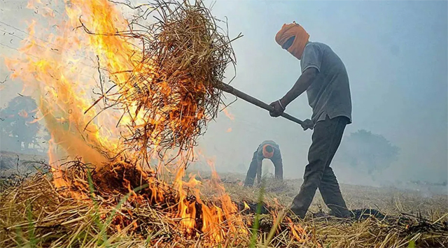 धान के खेतों में आग लगाने के आरोप में 9 के खिलाफ मामला दर्ज