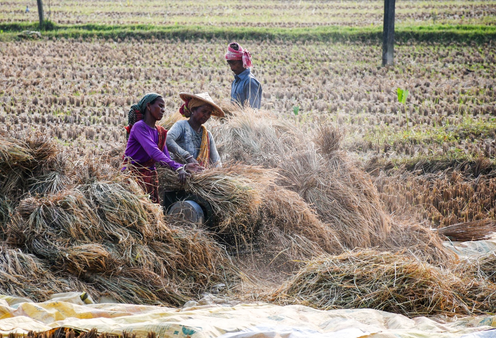 कार्यबल के औपचारिकरण और सामाजिक सुरक्षा कवरेज बढ़ाने की जरूरत: एसबीआई रिपोर्ट