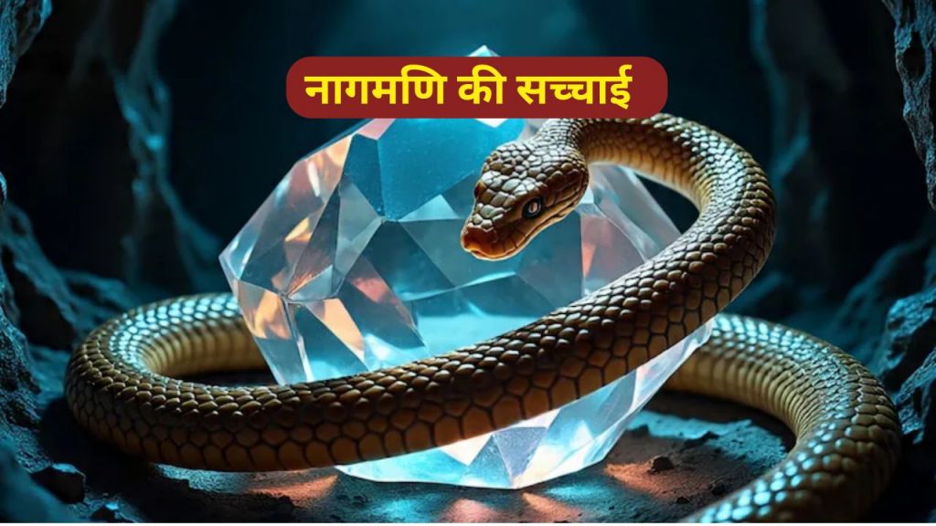 Nagmani reality