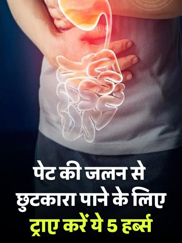 पेट की जलन से छुटकारा पाने के लिए ट्राए करें ये 5 हर्ब्स