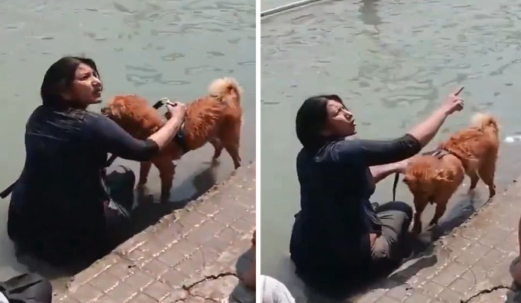 Ruckus over bathing a dog at Haridwar Ganga Ghat