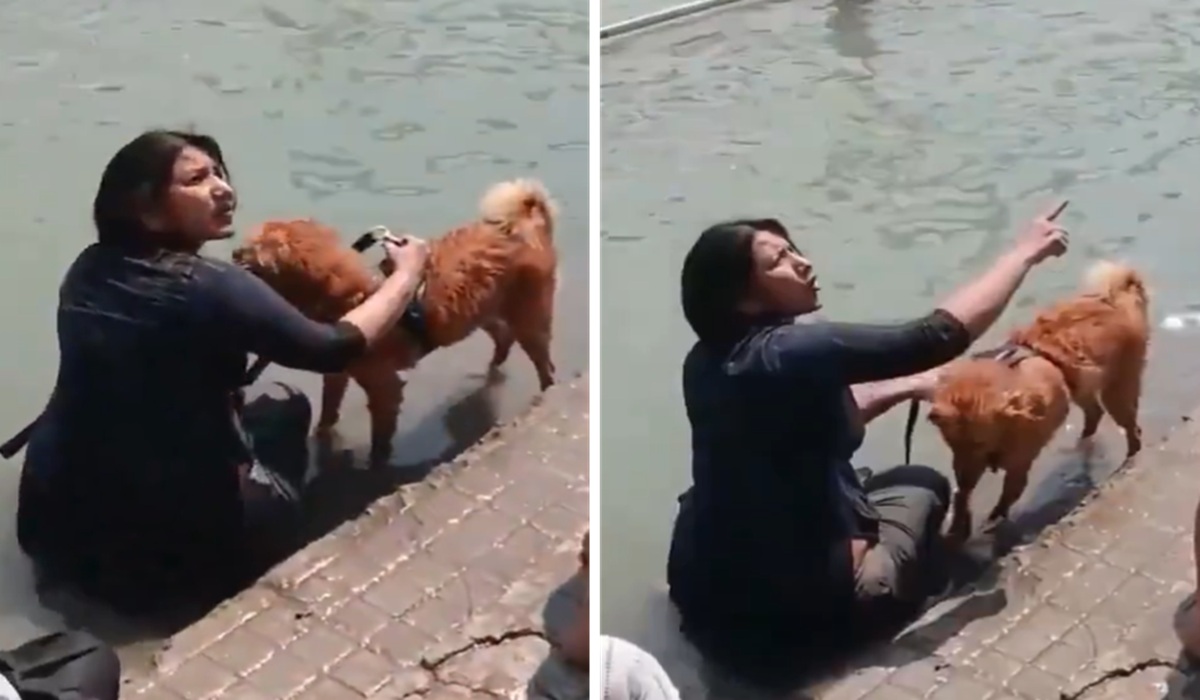 हरिद्वार गंगा घाट पर कुत्ते को नहलाने पर बवाल, वीडियो वायरल होते ही छिड़ी बहस