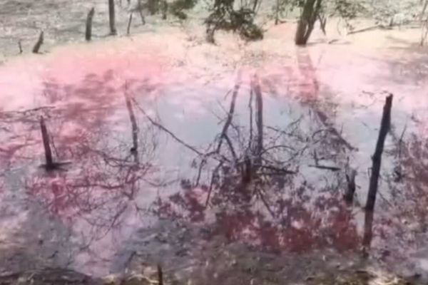 हरियाली छीन रहा था बीयर फैक्ट्री का पानी, 39 लाख रुपये जुर्माना