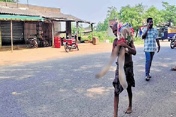 सिर पर गठरी, बहन की अस्थियां, कठघरे में व्यवस्था