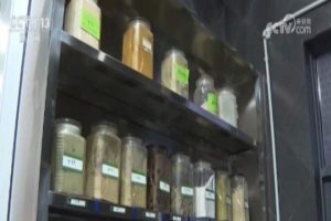 तिब्बती चिकित्सा और औषधि पर अंतरराष्ट्रीय अकादमी संगोष्ठी काठमांडू में आयोजित
