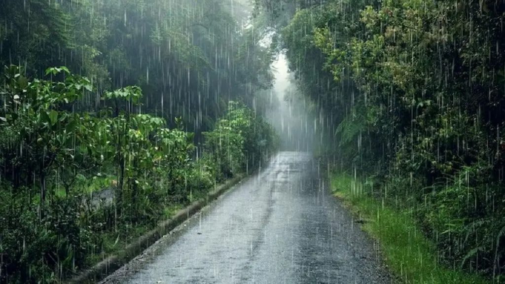 Monsoon Updates