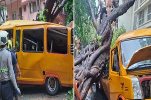 Tree falls on school bus in Mumbai