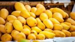 Nepal ban Indian mangoes