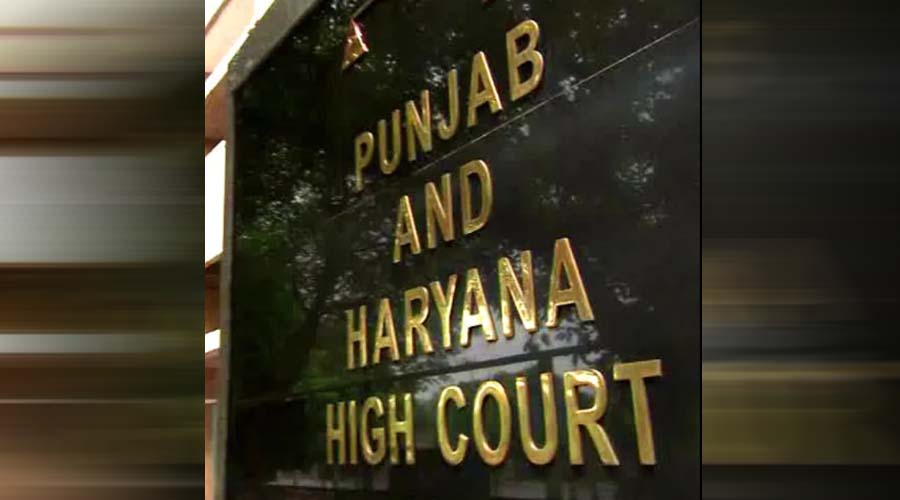Job News: 10वीं पास युवाओं के लिए नौकरी का अवसर, हाई कोर्ट में 167 पदों पर निकली भर्ती