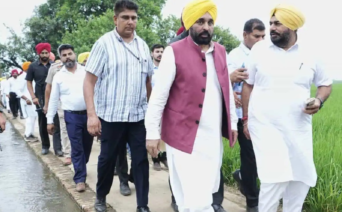 खेतों तक पहुंचेगी भरपूर बिजली, धान बुवाई के लिए पंजाब सरकार की पूरी तैयारी