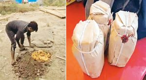 सोनीपत की घेवर मित्र मंडलियों पर खाद्य सुरक्षा विभाग की रेड; 13 सैंपल सील और 28 किलो घेवर नष्ट