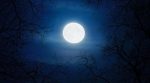Jyeshtha Purnima 2026