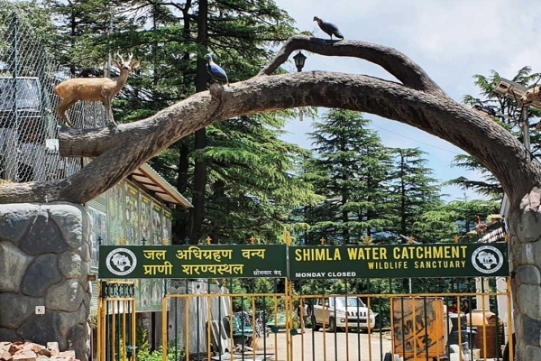 हिमाचल में वन्यजीव पार्कों की एंट्री फीस हुई दोगुनी, भाजपा ने सुक्खू सरकार को घेरा