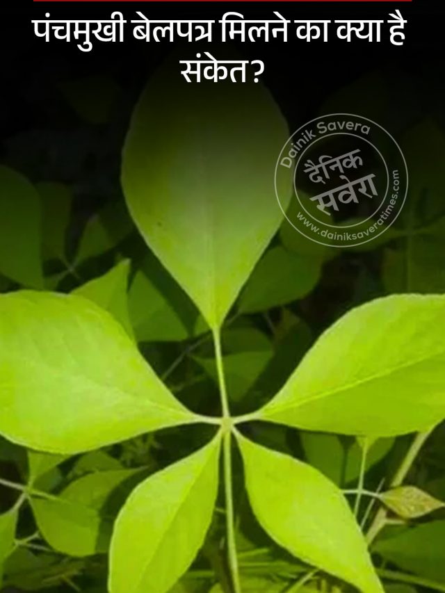 Panchmukhi Belpatra: पंचमुखी बेलपत्र मिलने का क्या है संकेत?