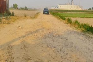 The impact of war: road construction halted, tar prices doubled.