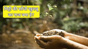 बारिश के बाद मिट्टी से खुशबू क्यों आने लगती है? जानिए इसके पीछे का साइंस