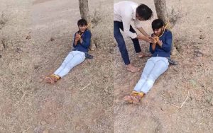 ससुर ने पत्नी को साथ भेजने से किया मना… रास्ते में बदमाशों ने पेड़ से बांधकर युवक को पिटा, वीडियो वायरल