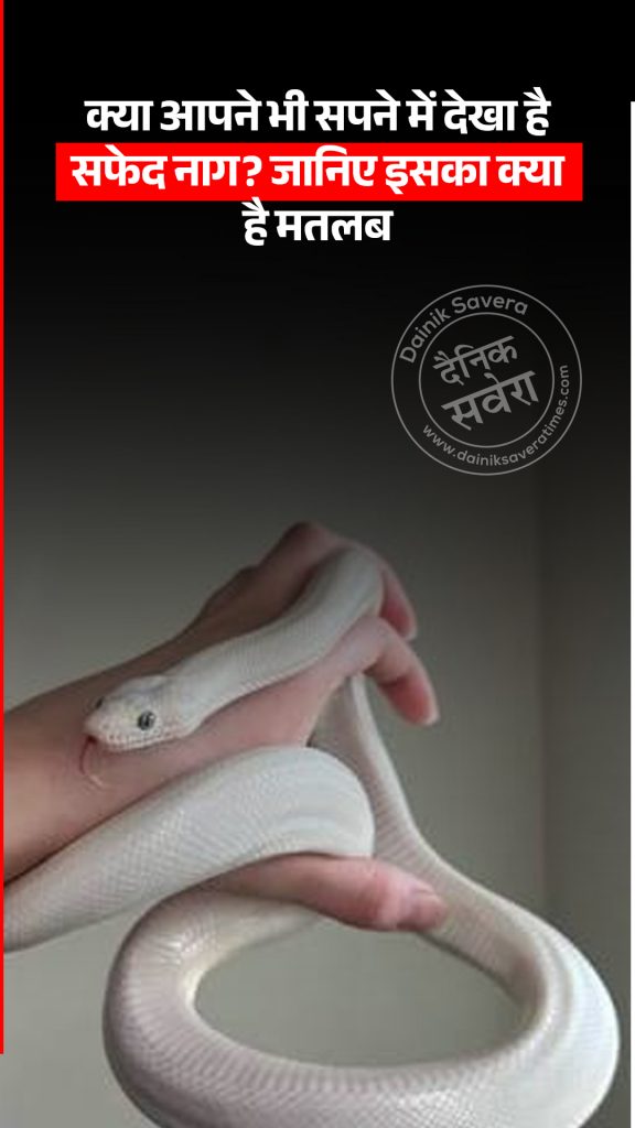 white serpent in your dream