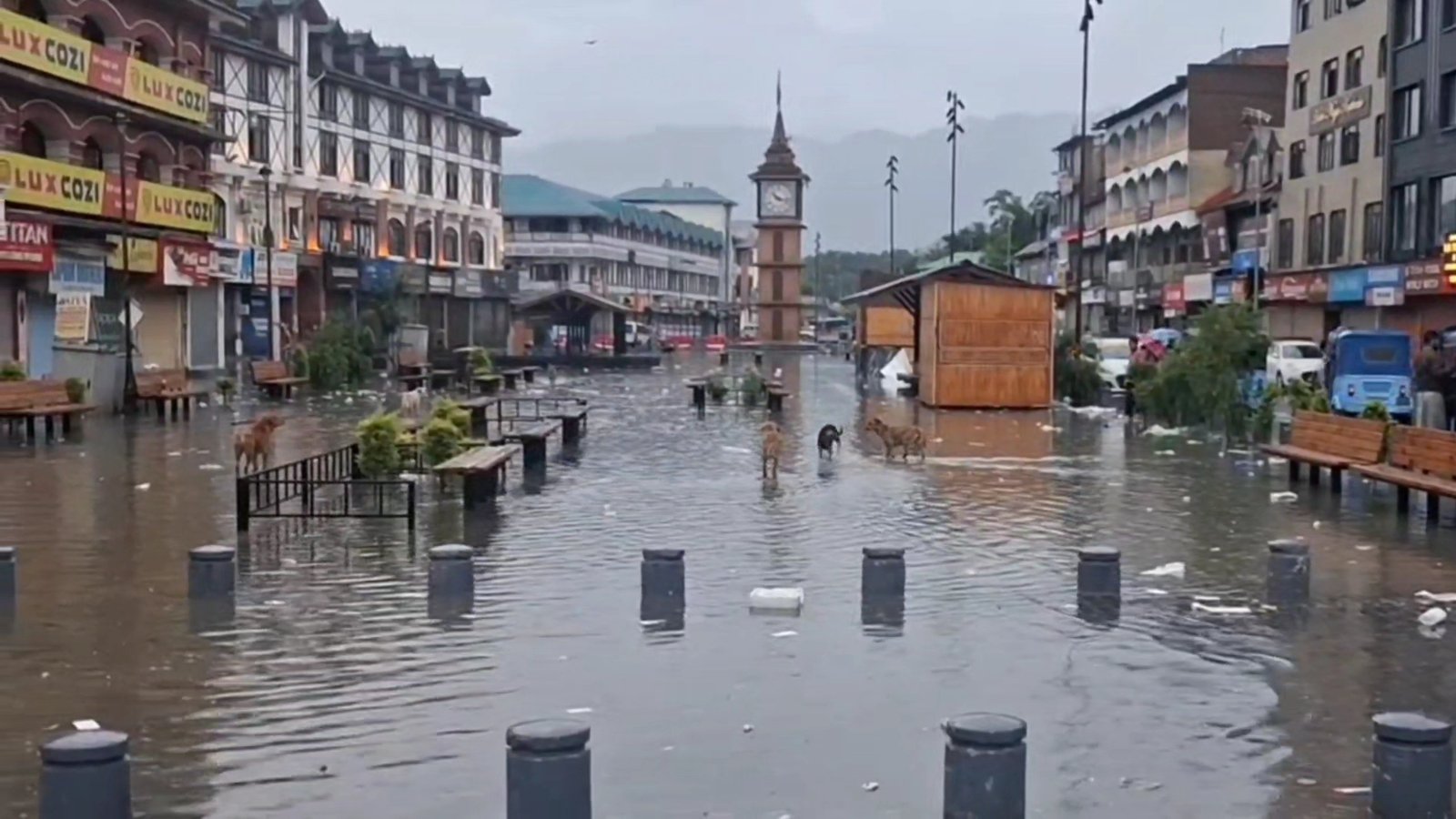 भारी बारिश से श्रीनगर पानी-पानी, सड़कें और रिहायशी इलाके जलमग्न; लोगों की बढ़ीं मुश्किलें