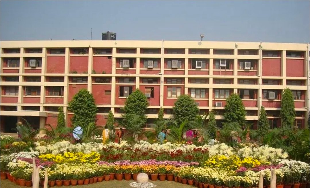 PAU ने किसानों से धान की ‘स्टंटिंग’ बीमारी  के प्रति सावधान रहने की अपील की