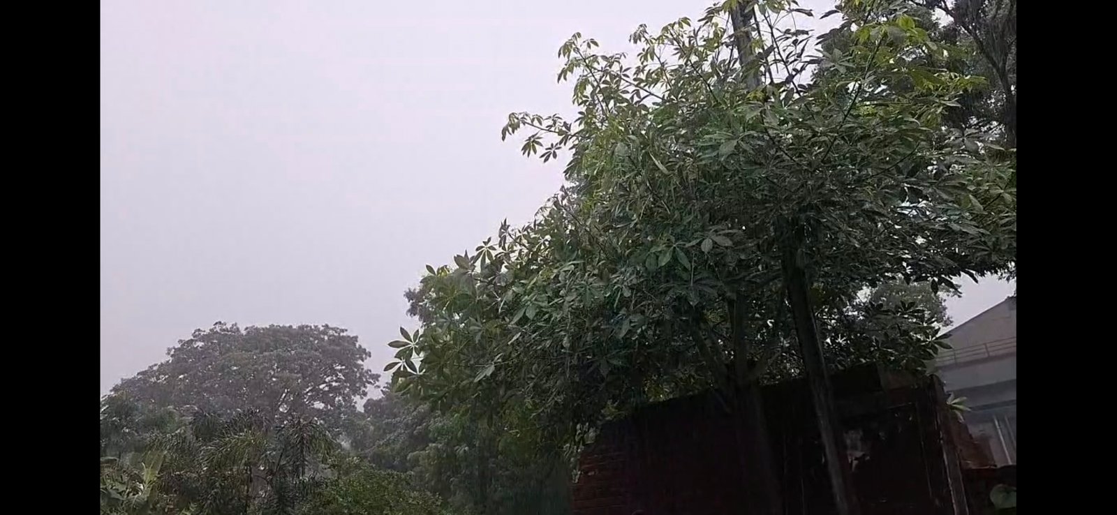 लुधियाना में जोरदार बारिश से लोगों को गर्मी से मिली राहत, सड़कों और गलियों में खड़ा हुआ पानी