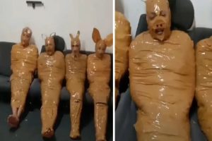 दुकान में चोरी करने घुसे 4 चोर, सुबह तक बन गए हंसी का कारण… इंटरनेट पर छाया VIDEO