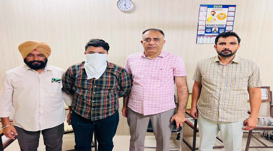 रिश्वत लेते कोऑपरेटिव सोसाइटी के इंस्पेक्टर को विजिलेंस ने किया गिरफ्तार, 50 हजार रुपये बरामद