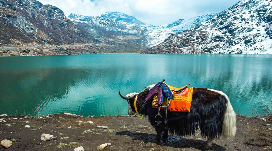 Sikkim Tour Plan: विदेशों से भी ज्यादा खूबसूरत हैं ये जगहें