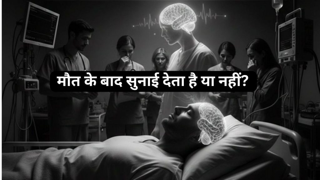 Brain After Death